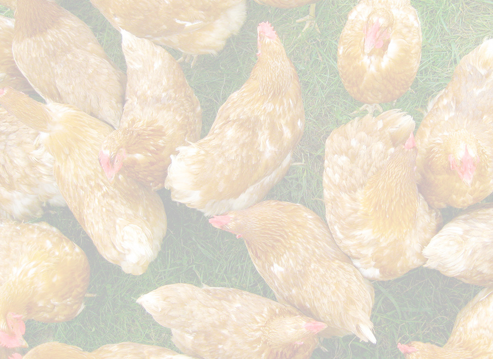 controlledatmospherestunning Humane Aire